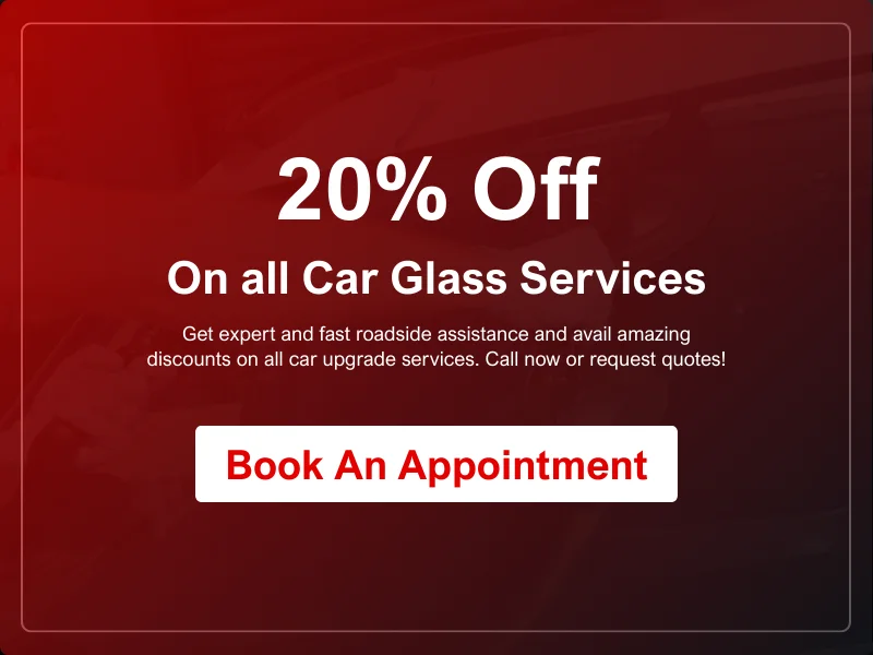 20% Offer